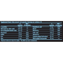 BIOTECH USA Mega Fat Burner - 90 caps